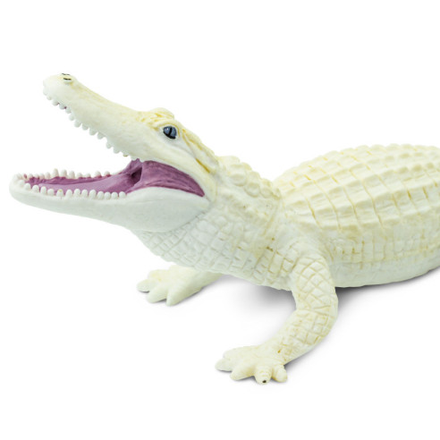 Alligator blanc - figurine Safari Ltd