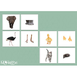 Boutique Documents Montessori - Zoologie - Cartes association animal-pattes