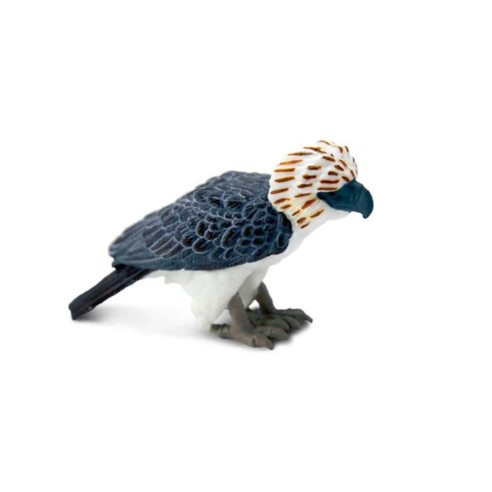 Tube - Animaux d'Asie