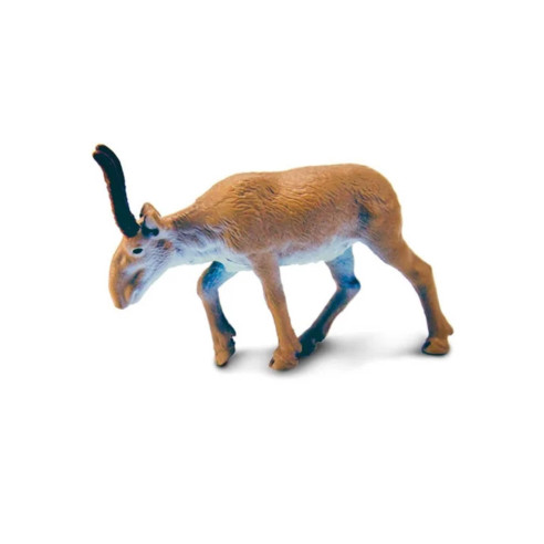 Tube - Animaux d'Asie