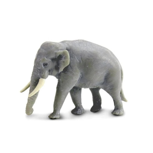 Tube - Animaux d'Asie