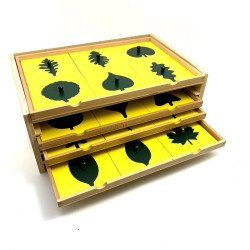 Cabinet de botanique 4 tiroirs Montessori