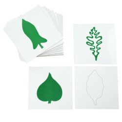 Cartes pour le cabinet de botanique Montessori