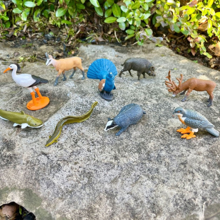 Tube Safari Ltd. - Figurines Animaux d'Europe