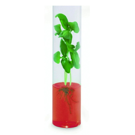 Mini kit culture de plantes sur gel